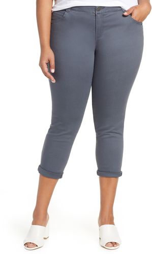 Plus Size Women's Wit & Wisdom Ab-Solution Ankle Skimmer Jeans