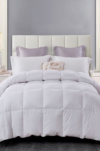 Blue Ridge Home Fashions Serta All Season Down 100% Cotton Comforter - King - White at Nordstrom Rack