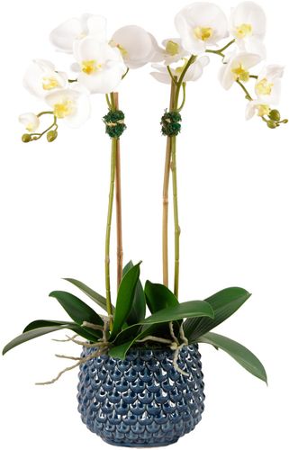 Pearl Orchid Planter Decoration