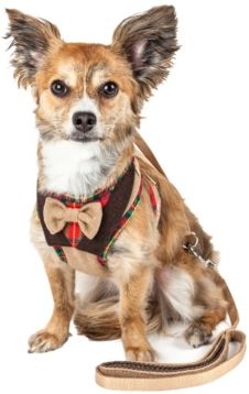Luxe 'Dapperbone' 2-in-1 Dog Harness Leash with Fashion Bowtie