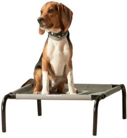 Franklin Pet Supply Co Elevated Dog Bed - Medium