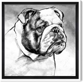 English Bulldog Canvas Art, 12" x 12"