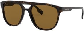 Polarized Sunglasses, BE4302