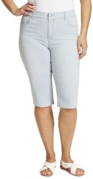 Plus Size Curvy Skinny Skimmer Jeans