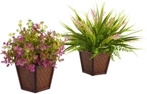 Assorted Grass Set w/ Decorative Planters, Set of 2