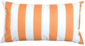 Olivia Stripe Outdoor Pillow