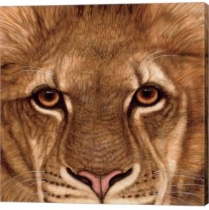 Eyes of The Lion by Jacquie Vaux Canvas Art