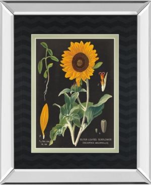 Sunflower Chart by Sue Schlabach Mirror Framed Print Wall Art, 34" x 40"