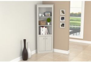 Two Door Corner Bookshelf