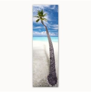 Leaning Palm Canvas Art, 18 x 58