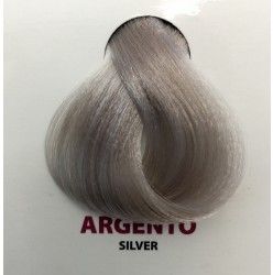 Tintura Wind Colour Argento 100 ml