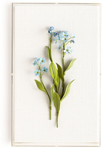 Original Painted Forget-Me-Not Study