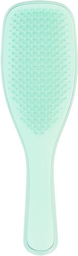 The Wet Detangler Fine & Fragile Mint Spazzola 1pz TANGLE TEEZER