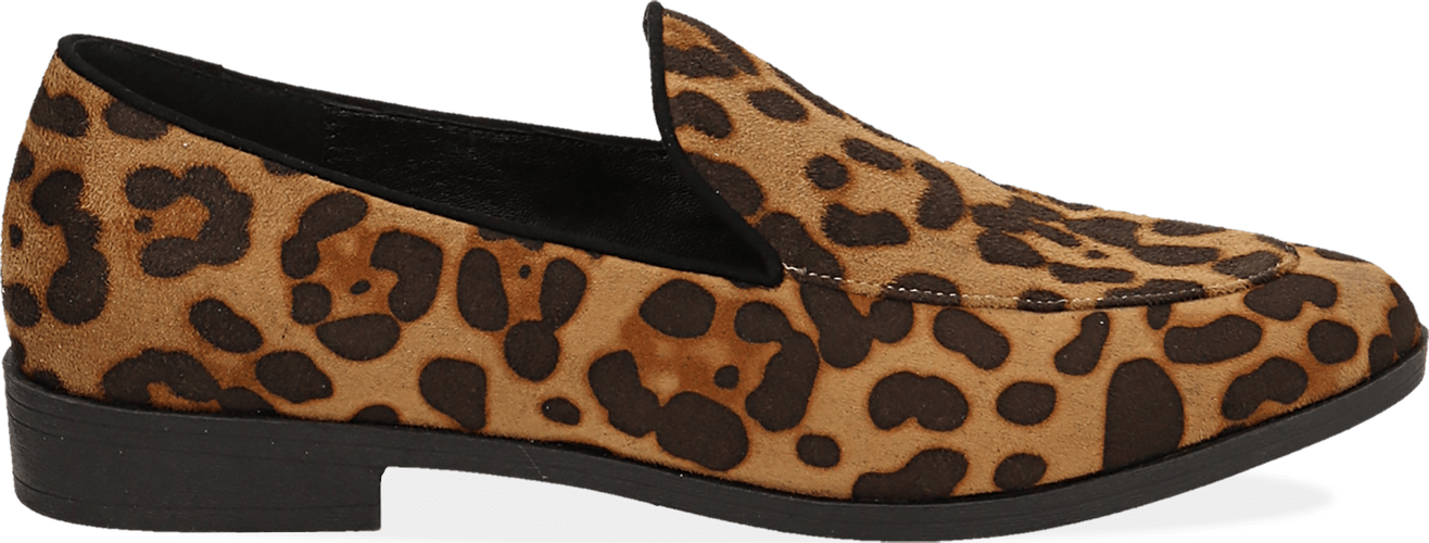Mocassini a punta leopard  | Primadonna Collection